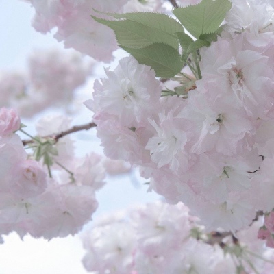 长治福瑞交流群